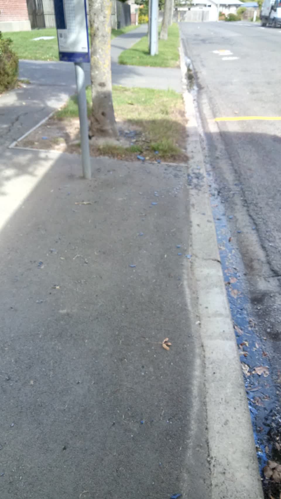 The photograph attached to this roading/streets report