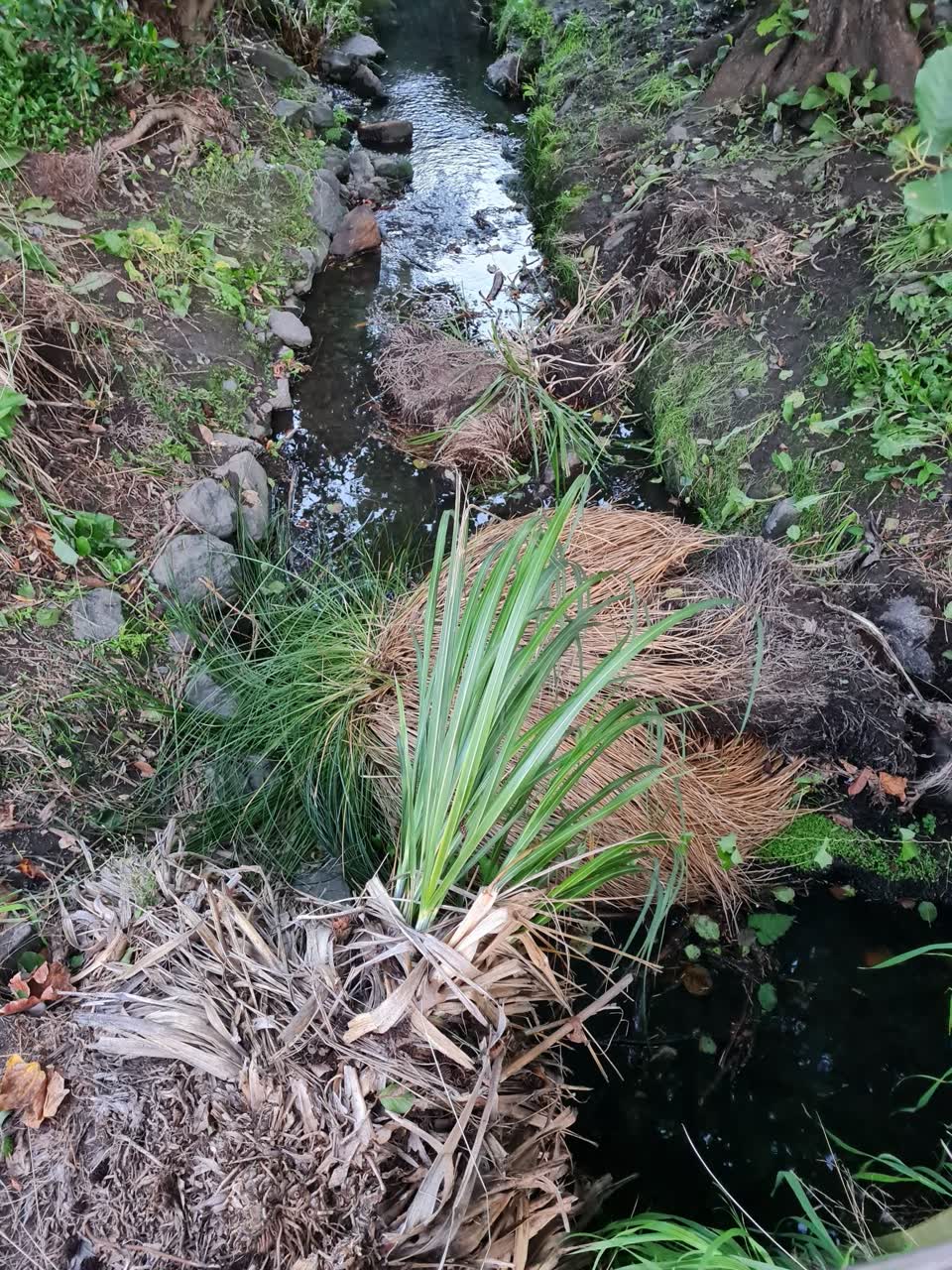 The photograph attached to this wastewater/stormwater report