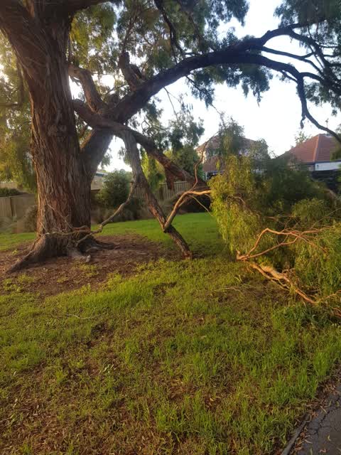 Parks, a report photo