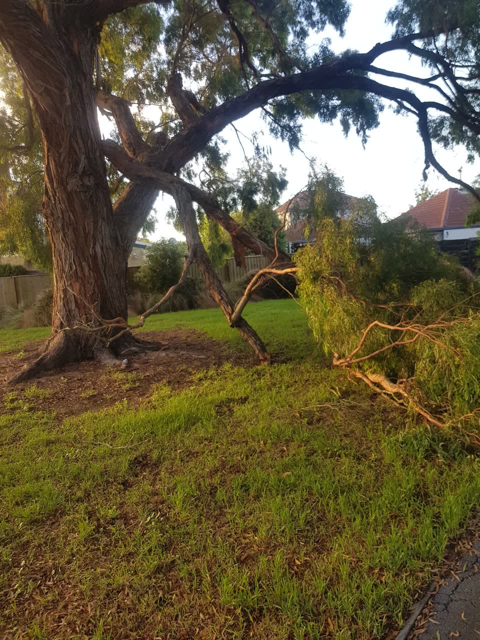 The photograph attached to this parks report