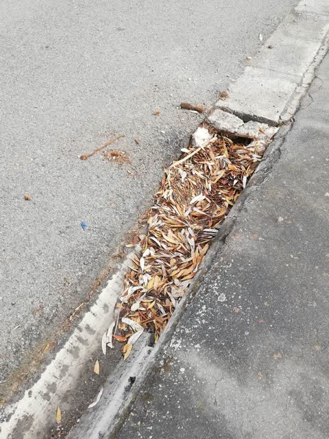Roading/Streets, a report photo