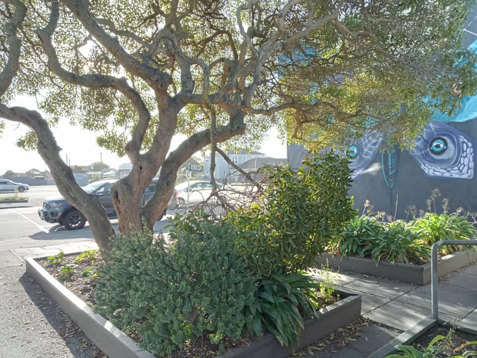The photograph attached to this parks report
