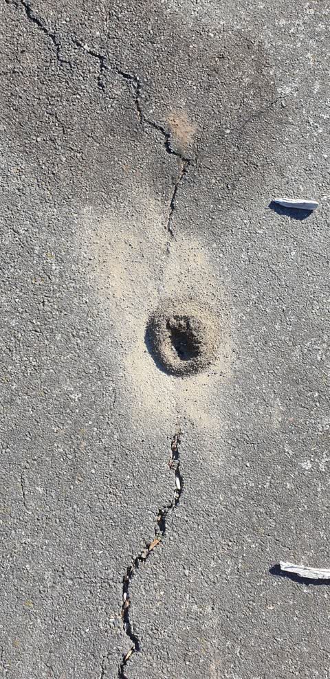 Parks, a report photo