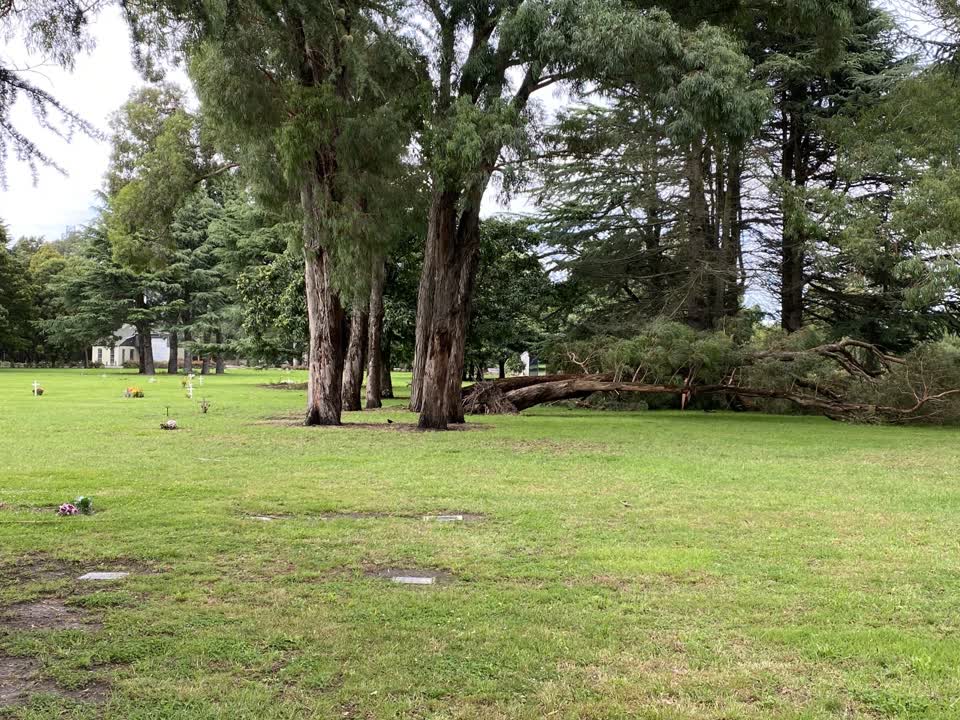 The photograph attached to this parks report