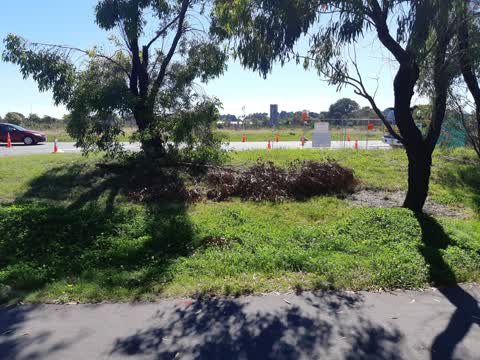 Parks, a report photo