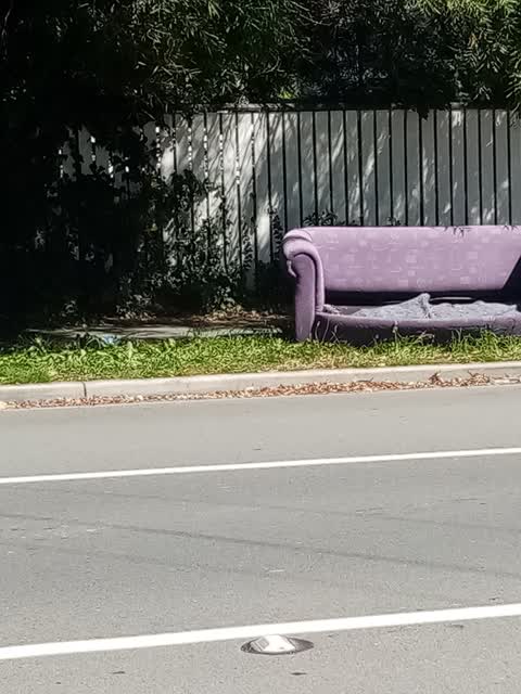 Rubbish/Recycling, a report photo