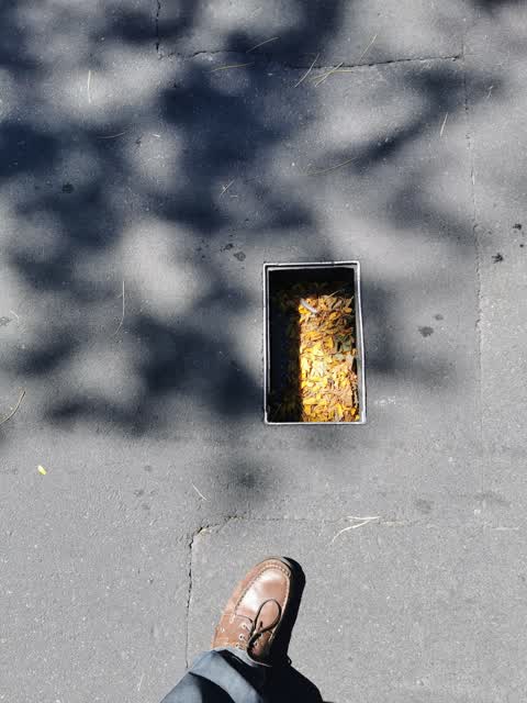 Roading/Streets — a report photo