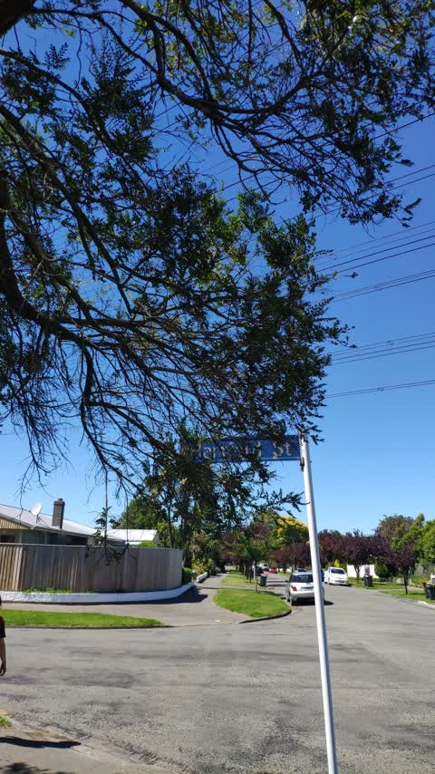 Roading/Streets, a report photo