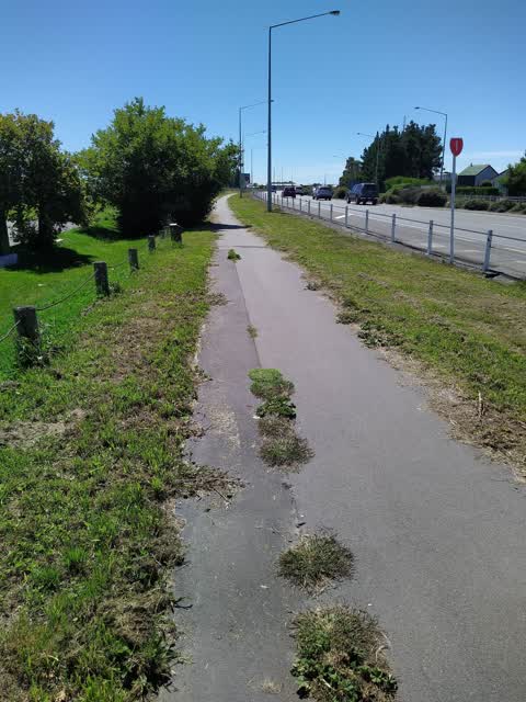 Roading/Streets, a report photo