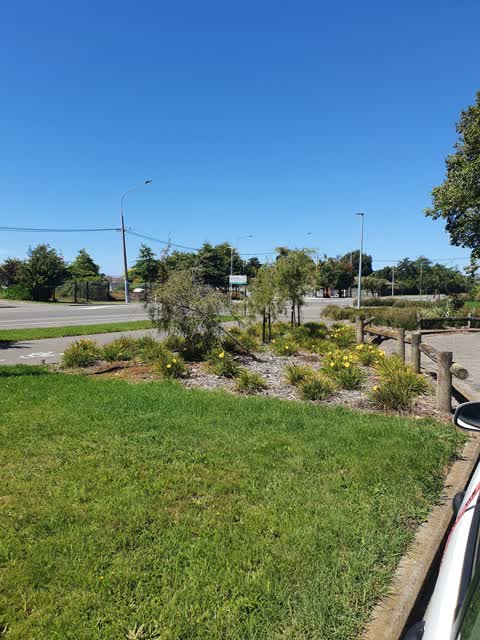 Parks, a report photo