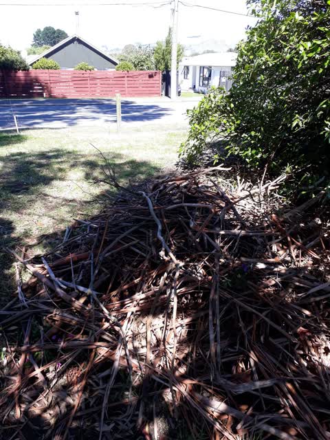Rubbish/Recycling, a report photo