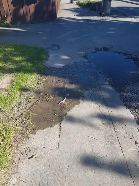 Water Leak, a report photo