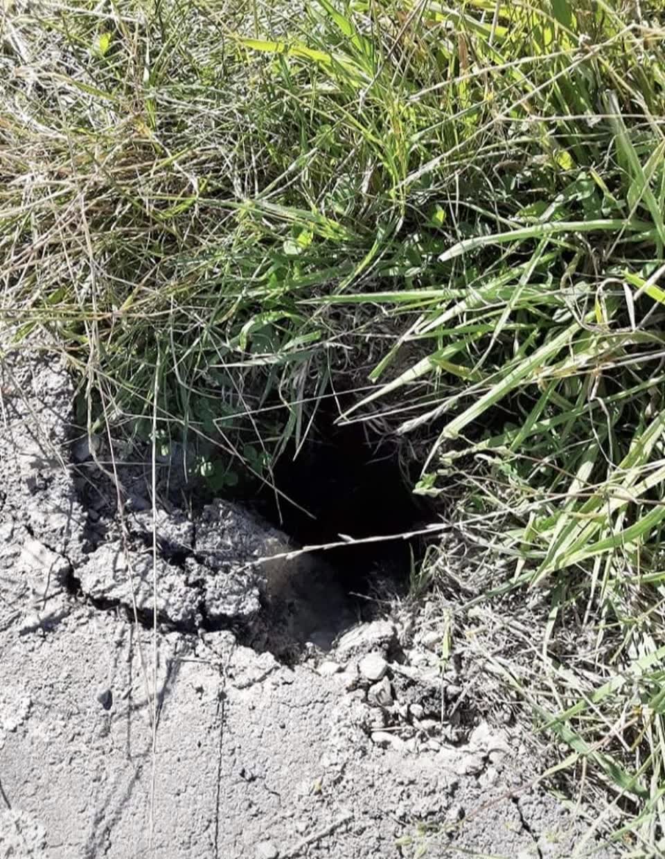 The photograph attached to this roading/streets report