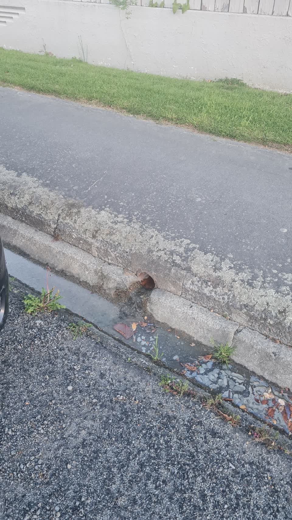 The photograph attached to this water leak report