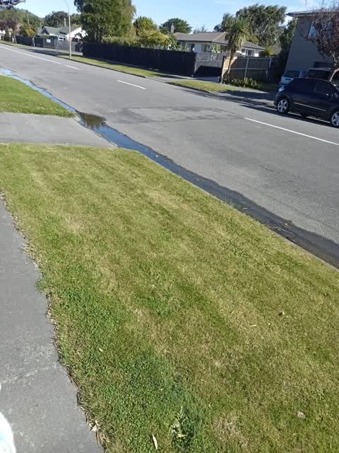 Water Leak, a report photo