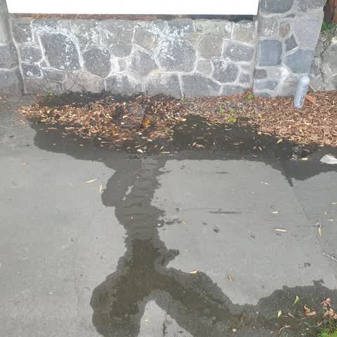 Water Leak, a report photo
