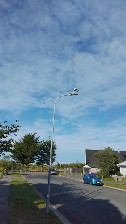 Street Light Outage, a report photo