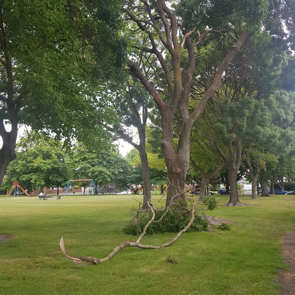 The photograph attached to this parks report