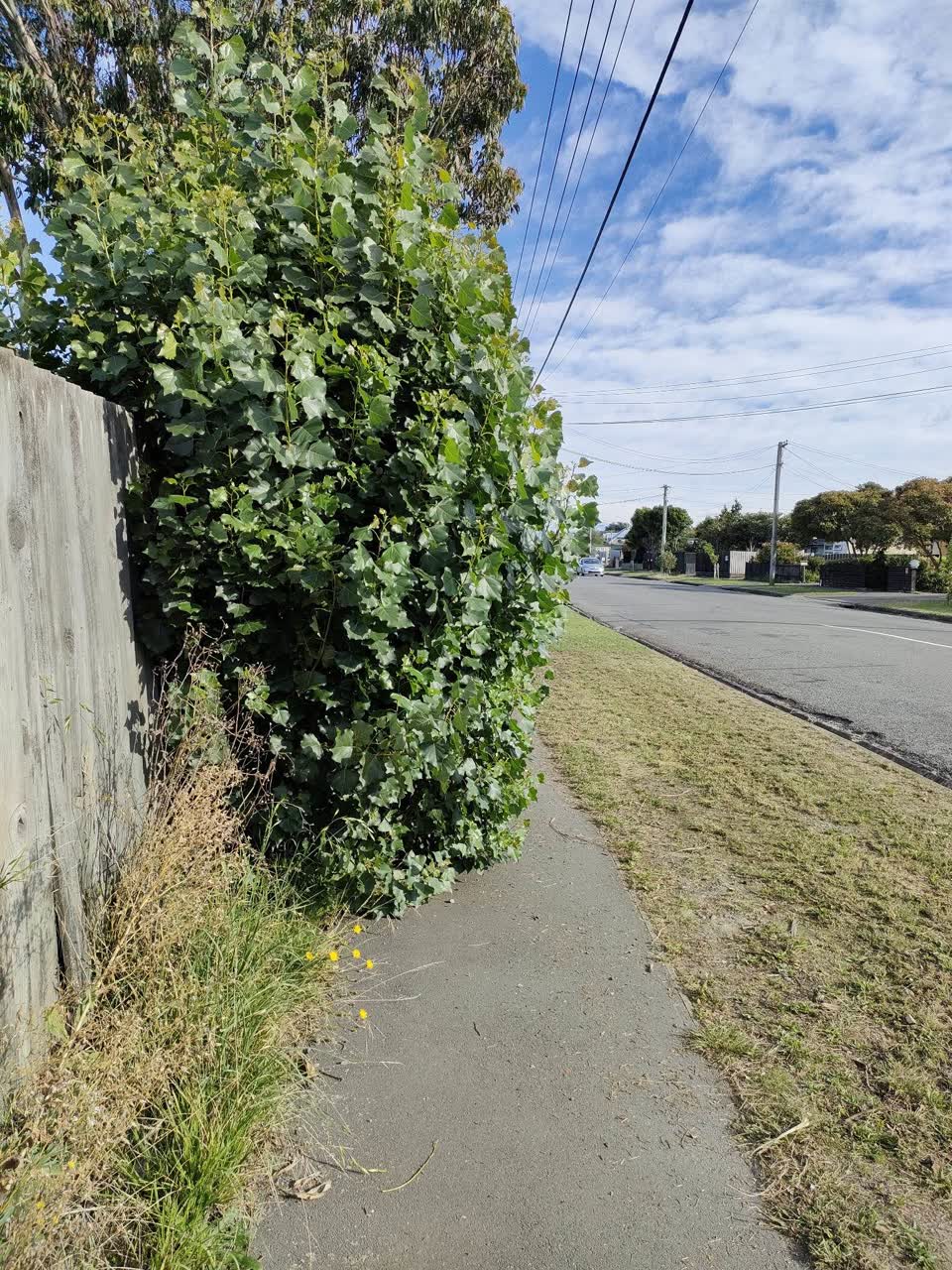 The photograph attached to this roading/streets report