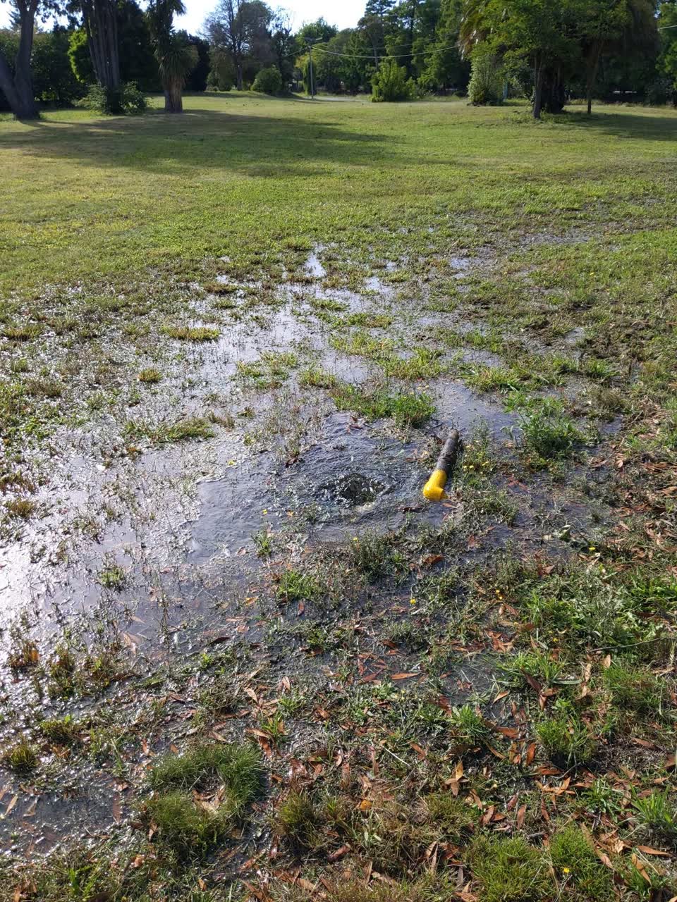 The photograph attached to this water leak report