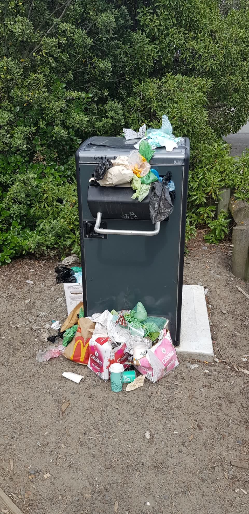 The photograph attached to this rubbish/recycling report