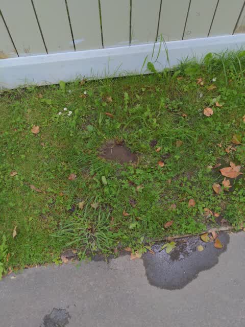 Water Leak, a report photo