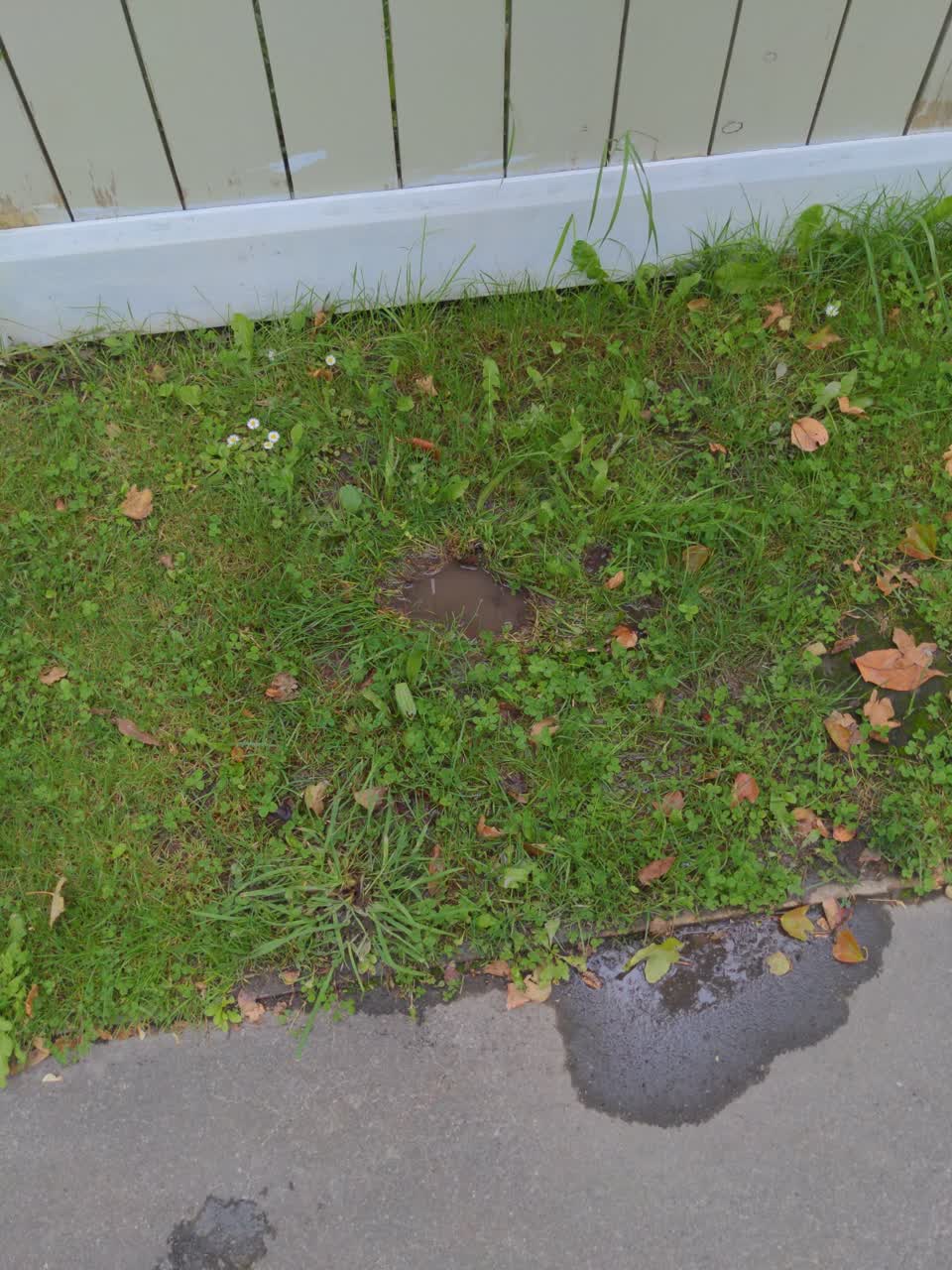 The photograph attached to this water leak report