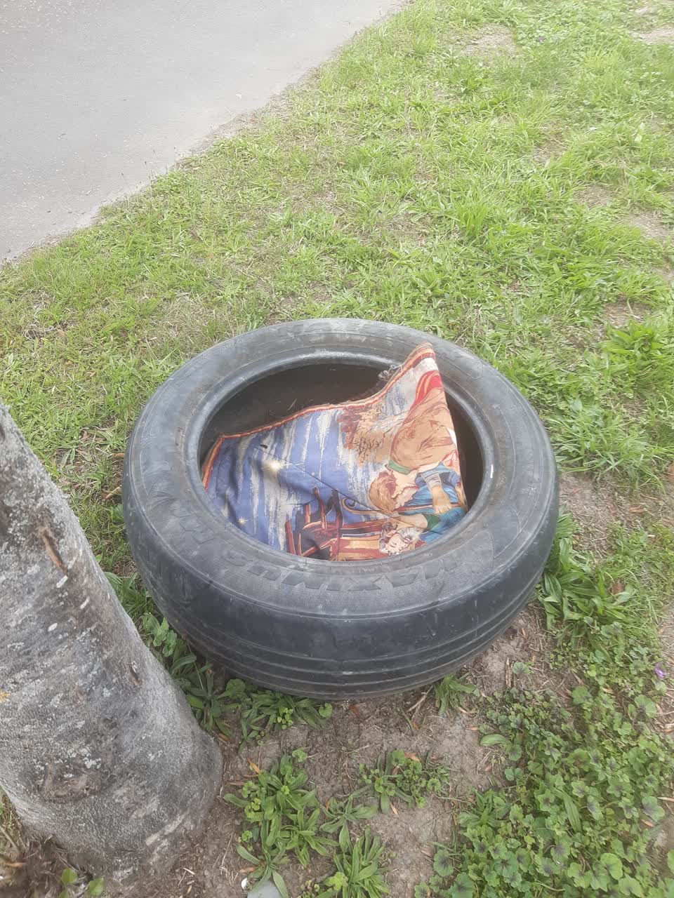 The photograph attached to this rubbish/recycling report