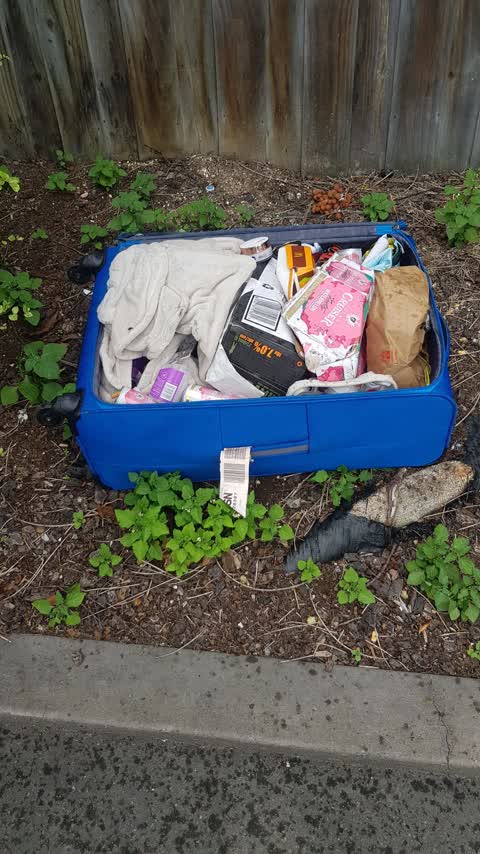 Rubbish/Recycling, a report photo