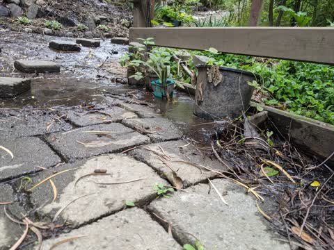 Water Leak, a report photo