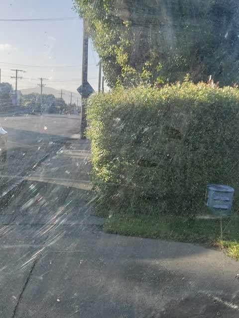 Roading/Streets, a report photo