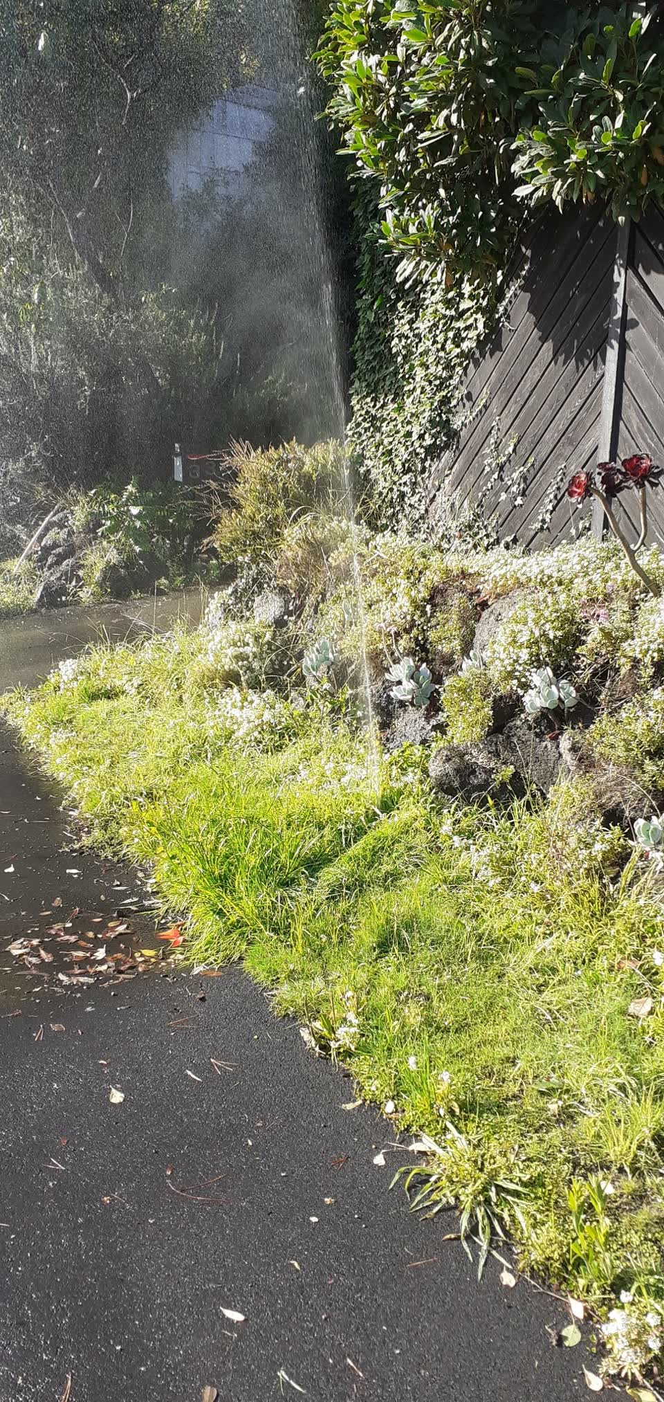 The photograph attached to this water leak report