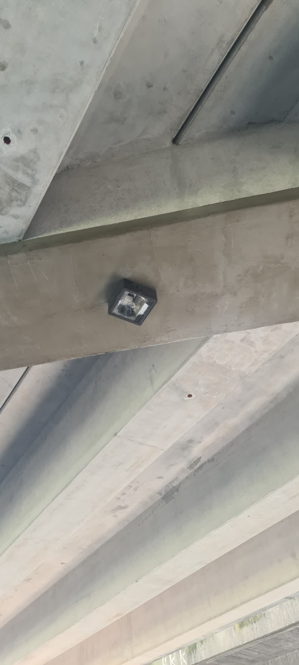 The photograph attached to this street light outage report