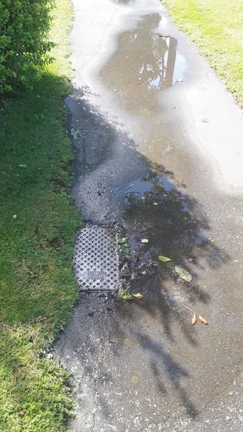 Water Leak, a report photo