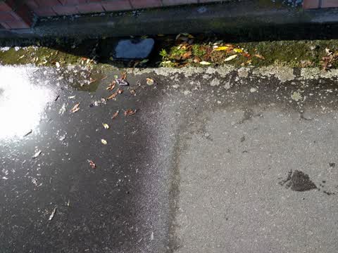 Water Leak, a report photo