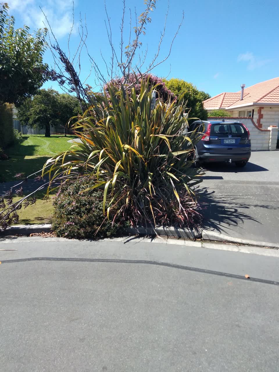The photograph attached to this parks report