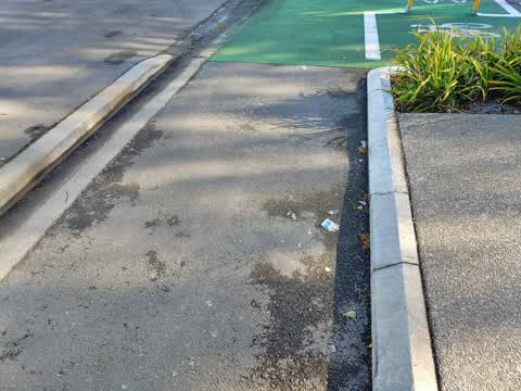 Roading/Streets, a report photo