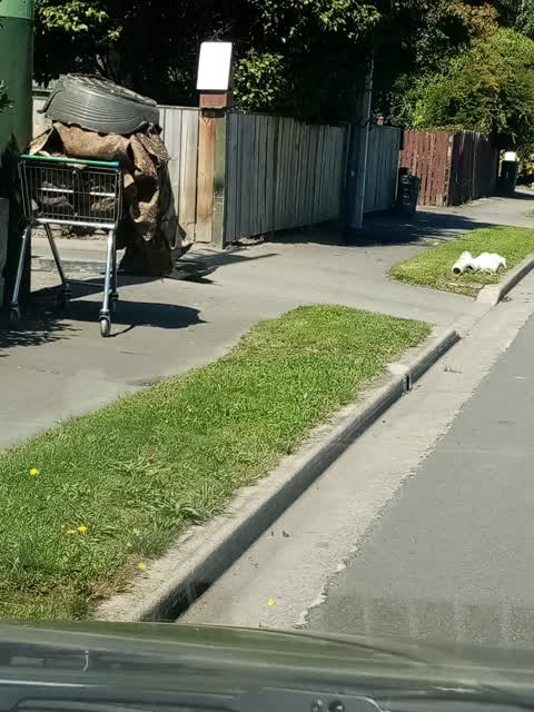 Rubbish/Recycling, a report photo