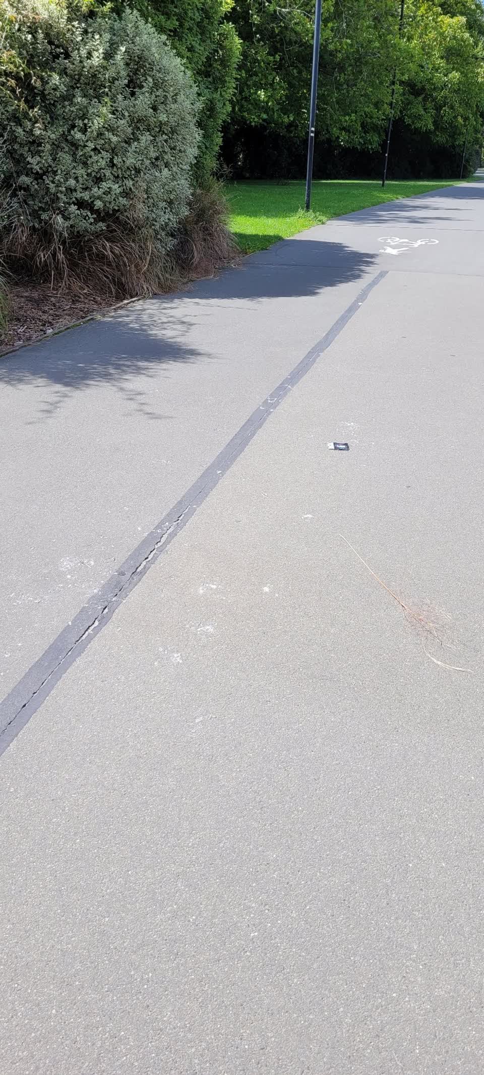 The photograph attached to this roading/streets report