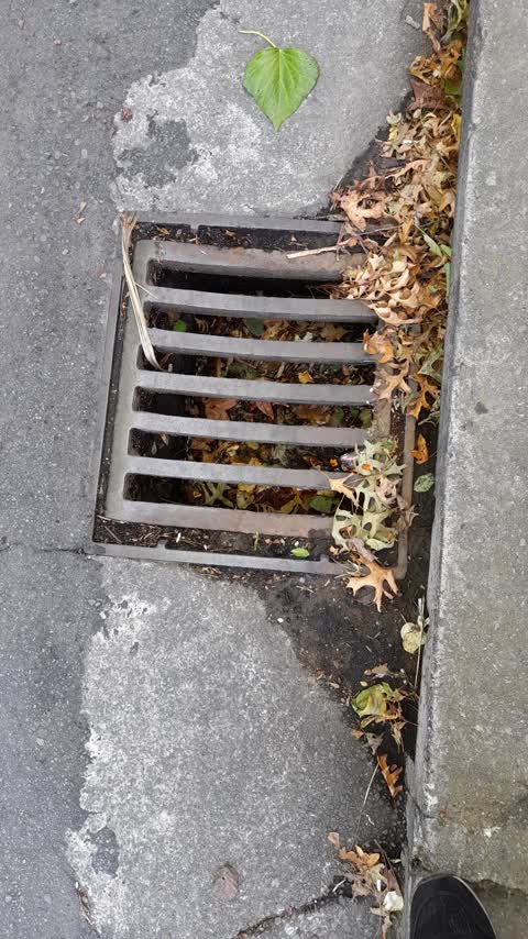Wastewater/Stormwater, a report photo