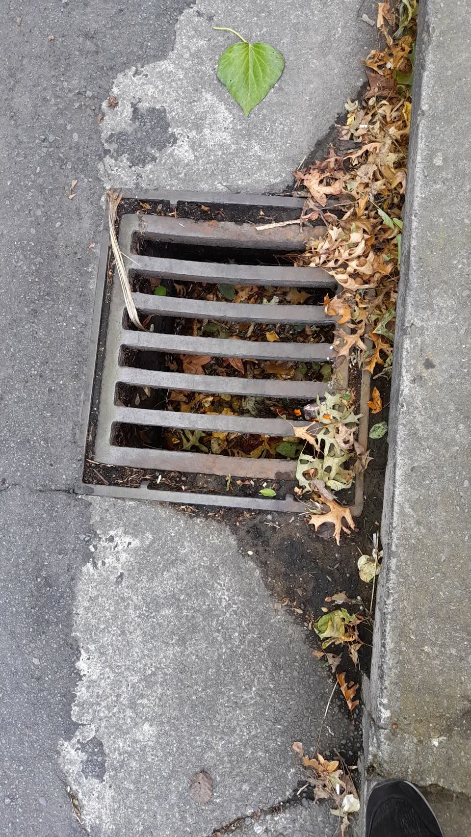 The photograph attached to this wastewater/stormwater report