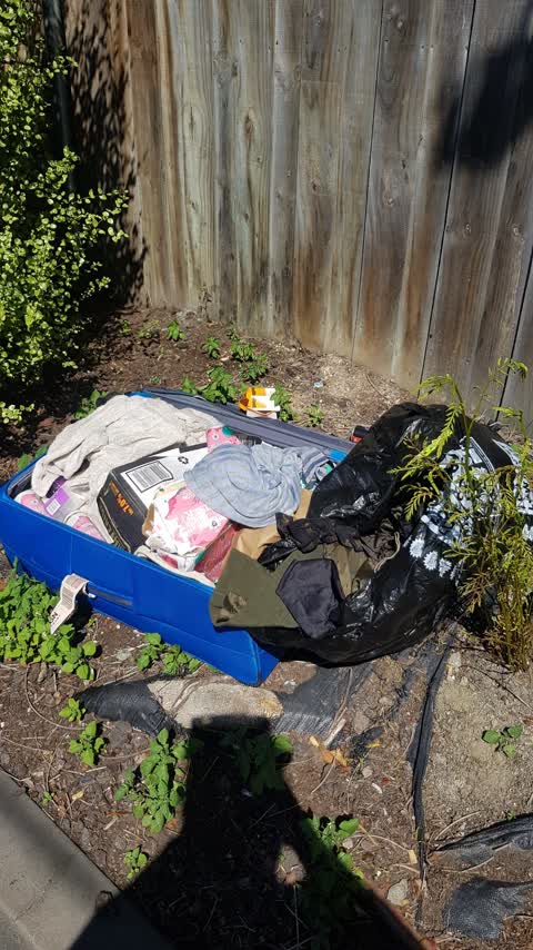 Rubbish/Recycling, a report photo