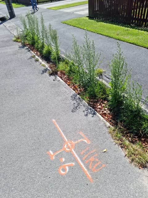 Roading/Streets, a report photo