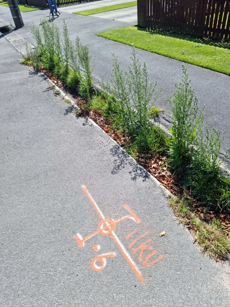 The photograph attached to this roading/streets report