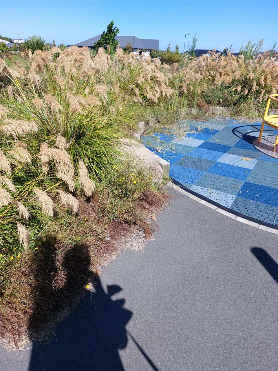 The photograph attached to this parks report