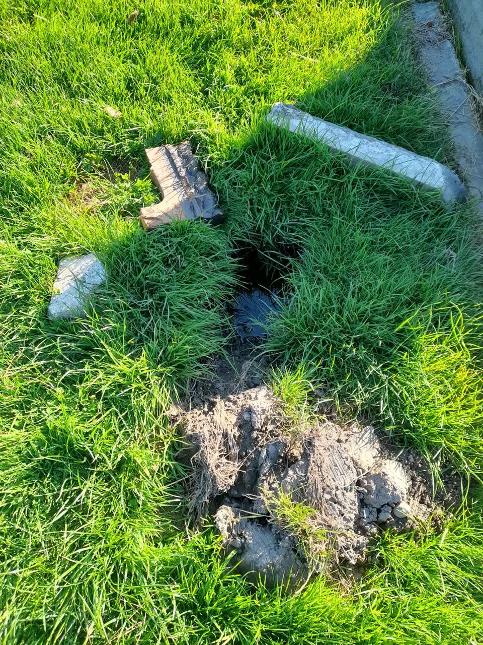 The photograph attached to this water leak report