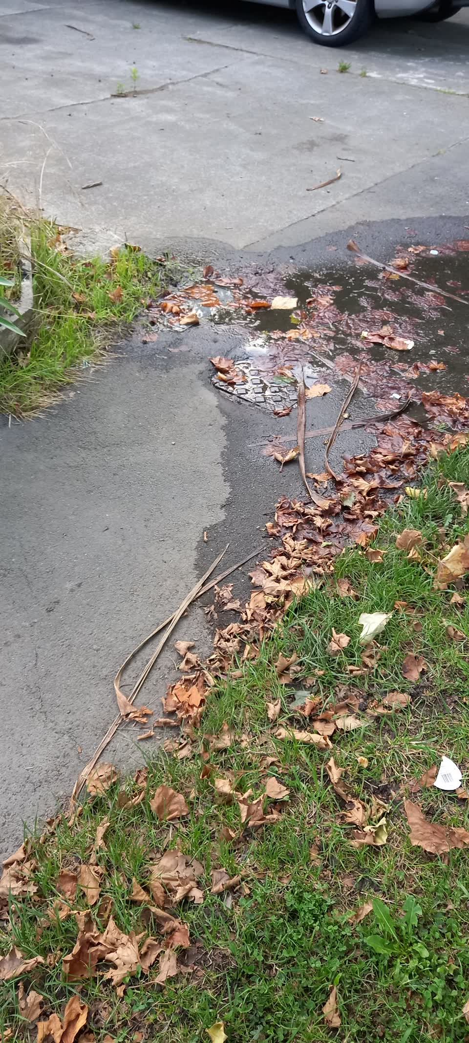 The photograph attached to this water leak report