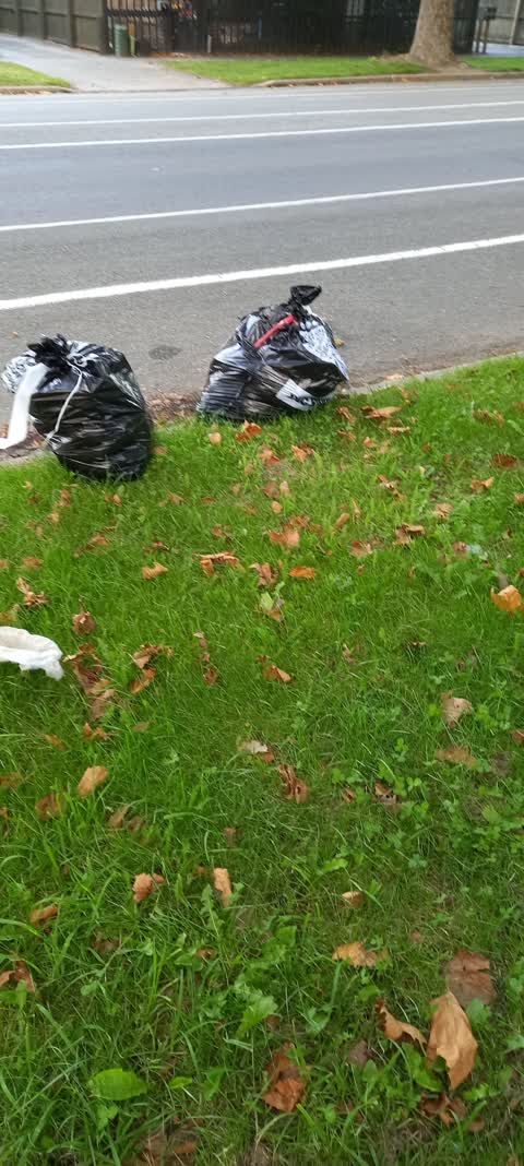 Rubbish/Recycling, a report photo