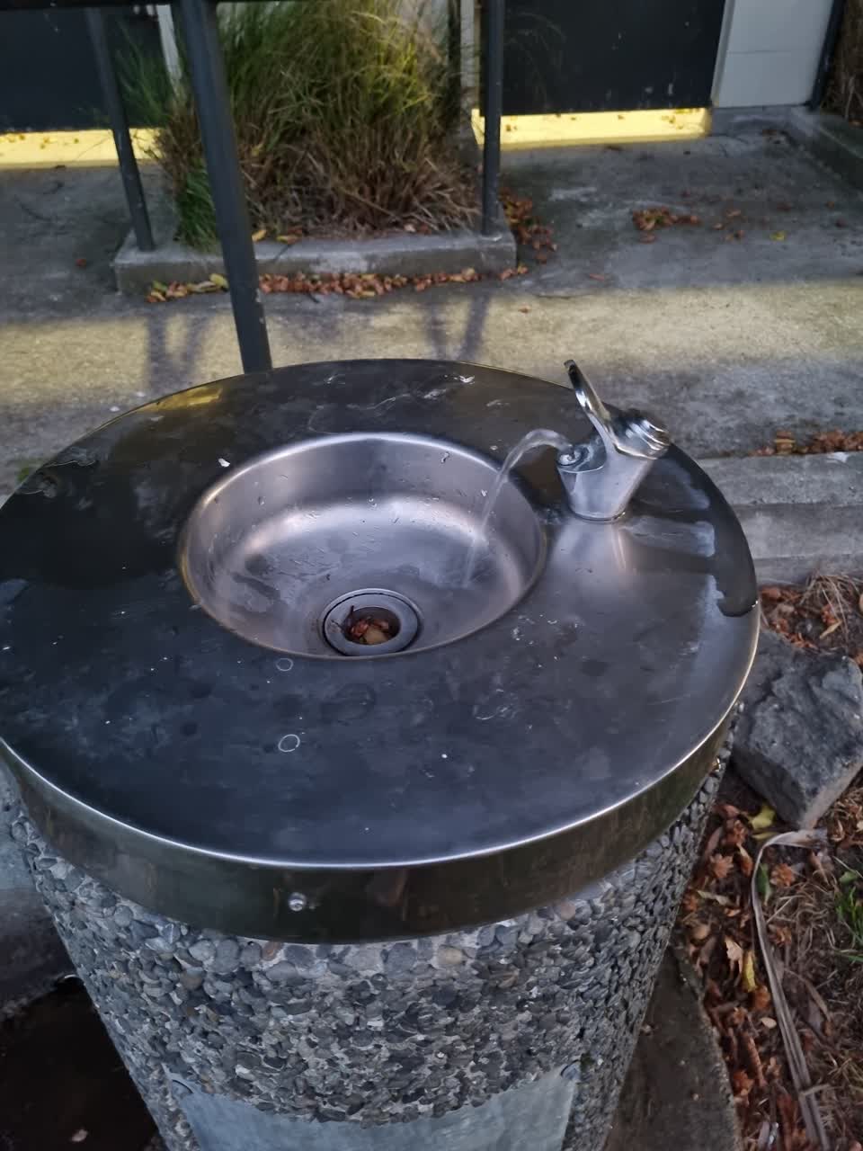 The photograph attached to this parks report