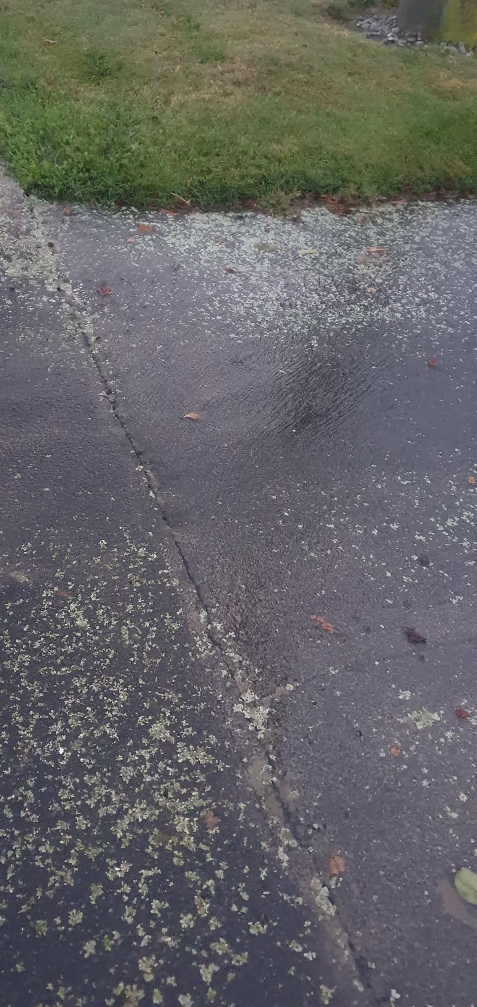 The photograph attached to this water leak report